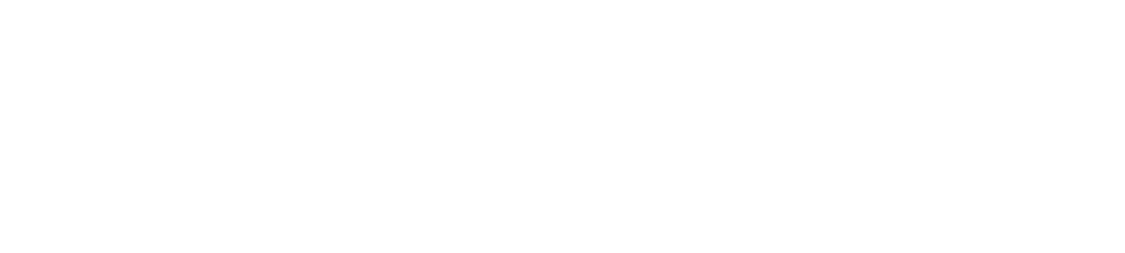 SOCELLE